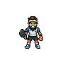 The Pickleball Friend