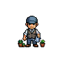 The Plant Guy Coworker