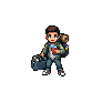 The Traveler Husband
